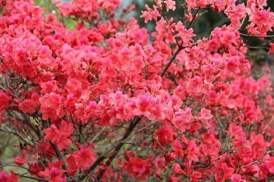 Travel to macheng, China