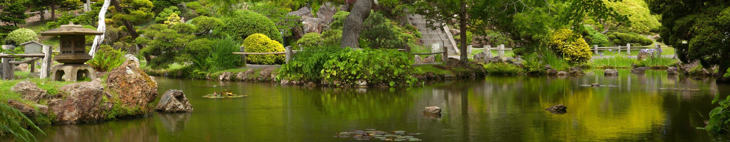 Travel to honchō, Japan