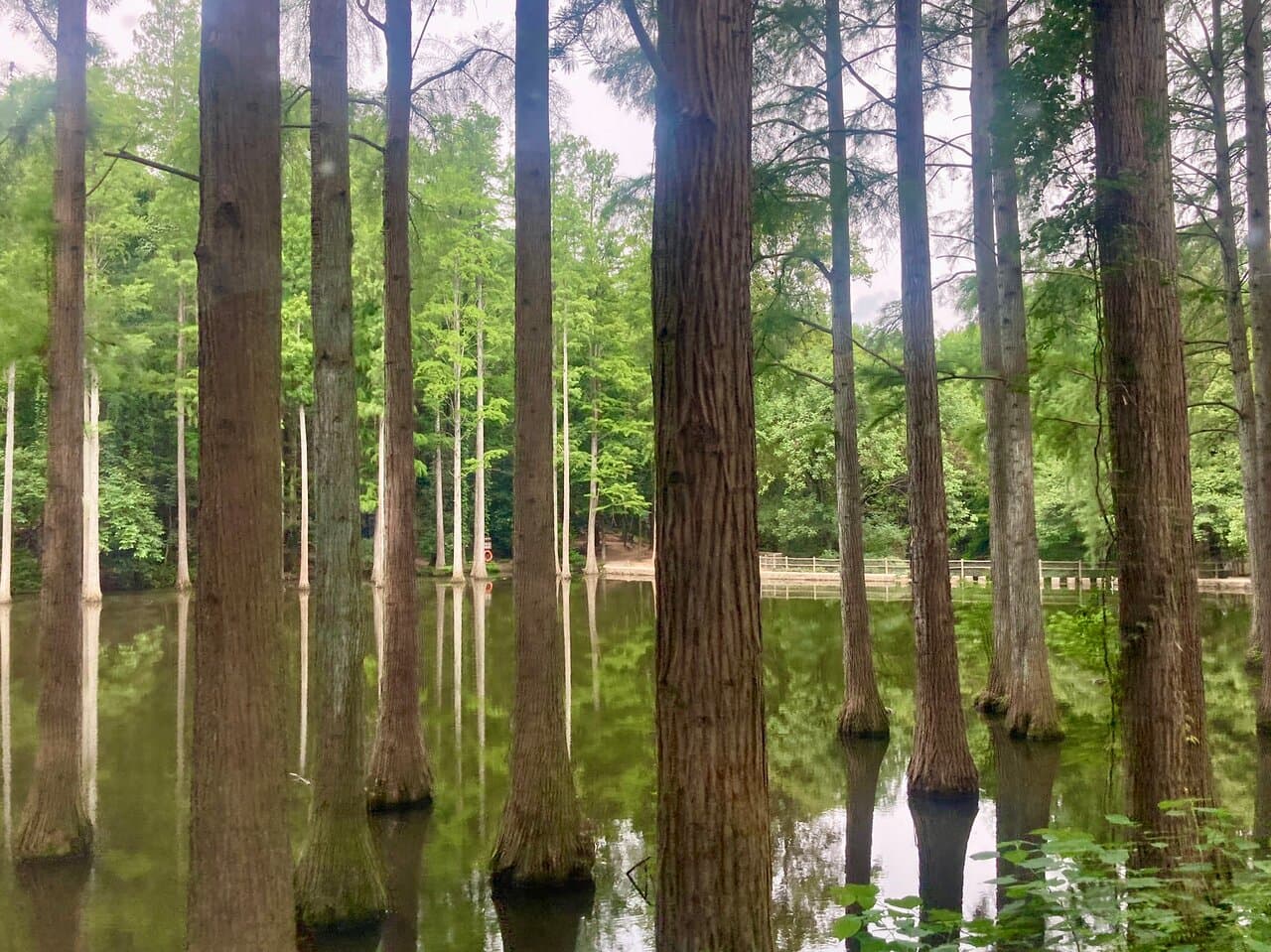 Travel to shihezi, China