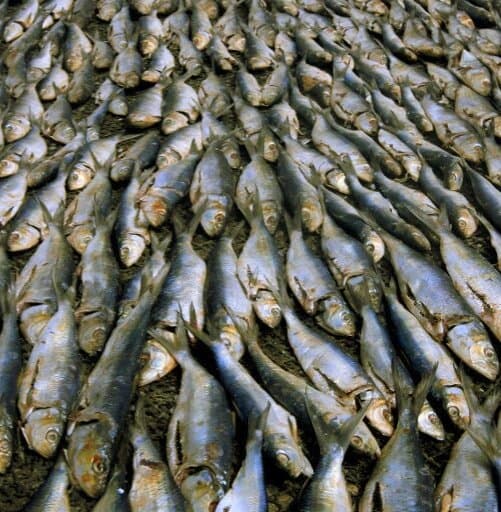 Travel to talatona, Angola