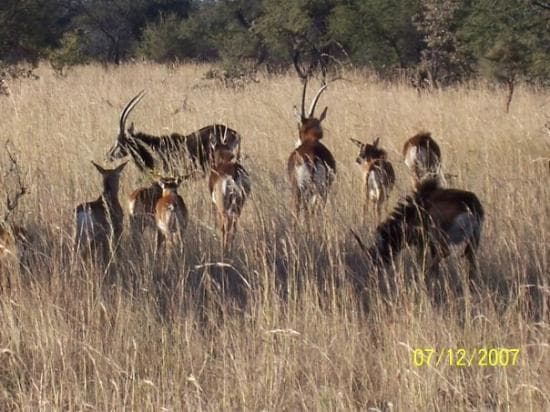 Travel to bulawayo, Zimbabwe
