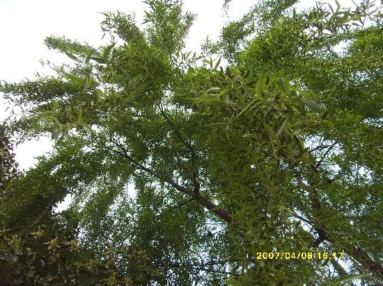 Travel to guangshui, China