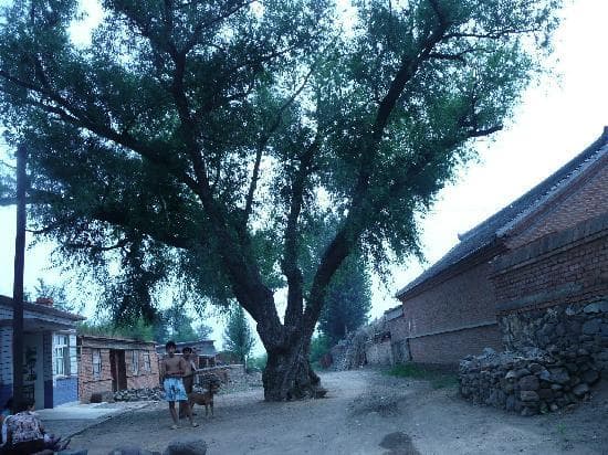 Travel to lingyuan, China