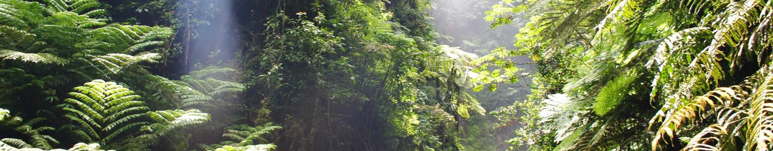 Travel to southern province, Rwanda