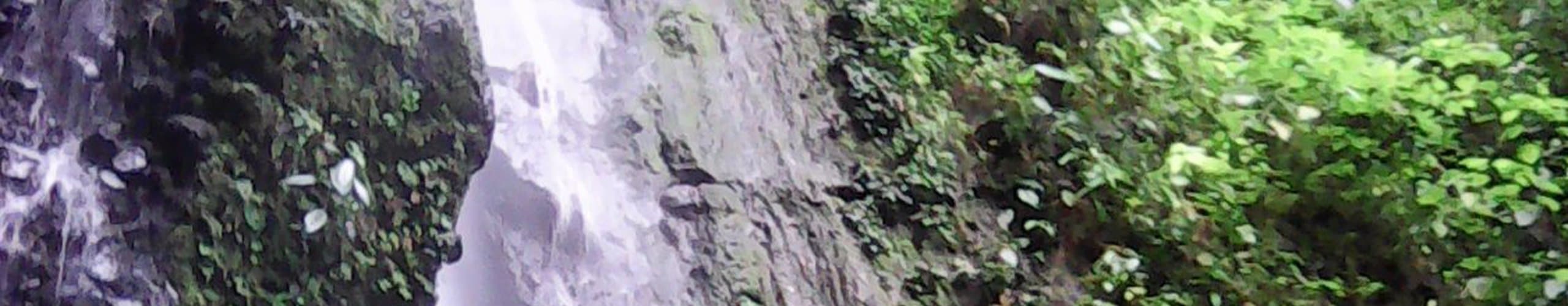 Travel to quindío, Colombia