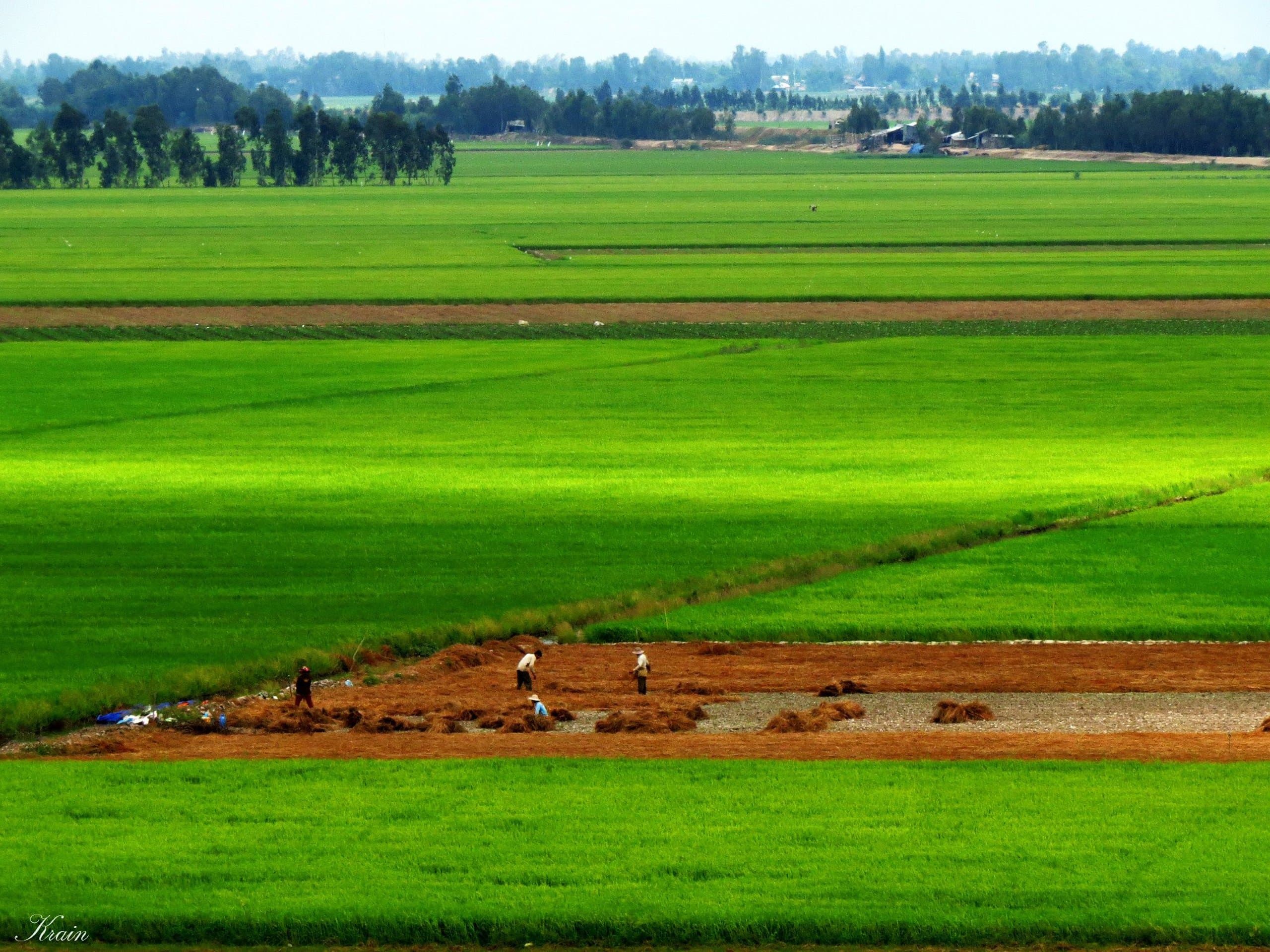 Travel to đồng tháp, Vietnam