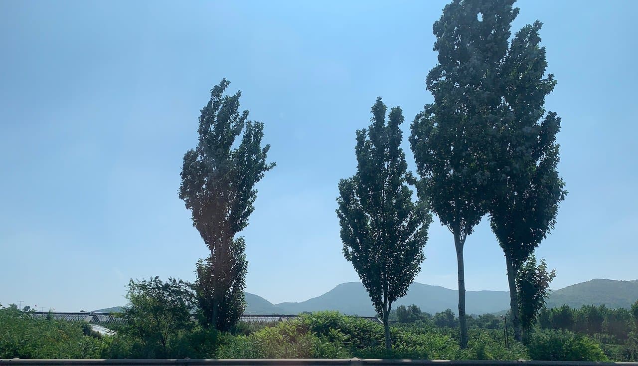 Travel to wafangdian, China