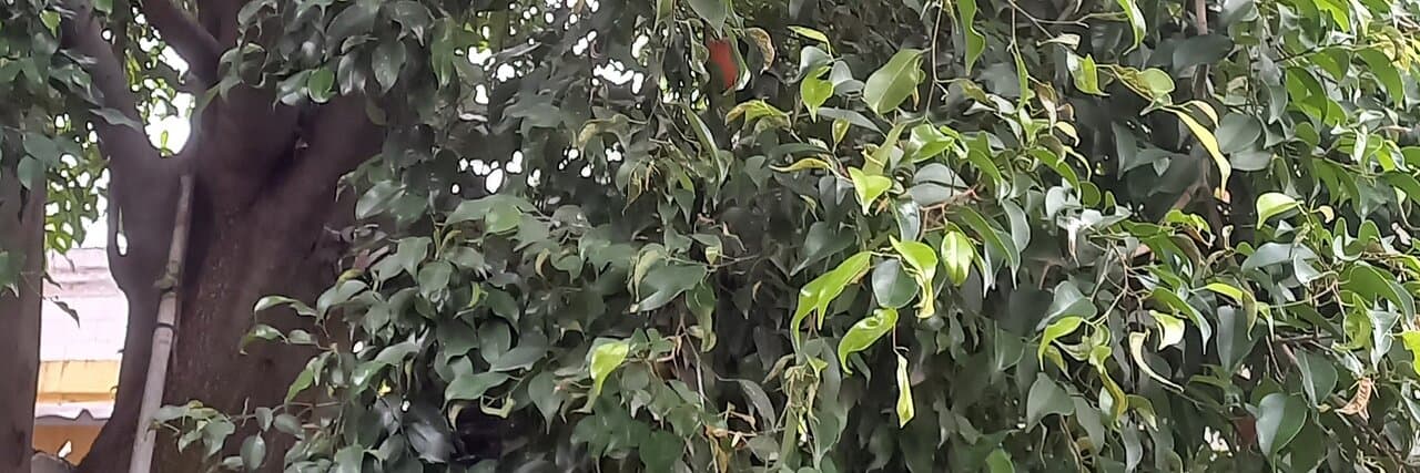 Travel to cimahi, Indonesia