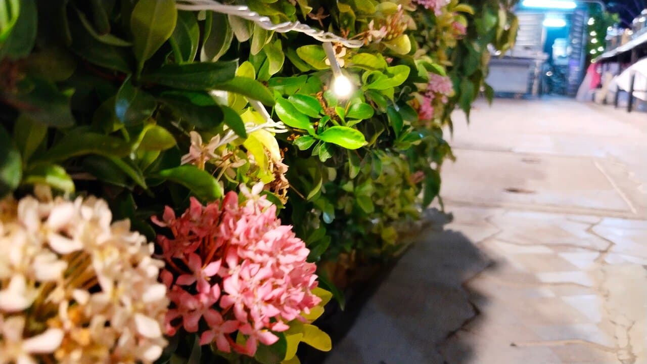 Travel to bhāvnagar, India