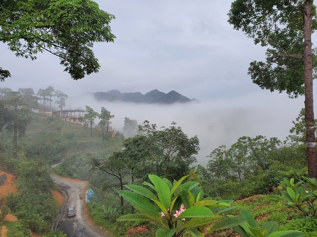 Travel to pahang, Malaysia