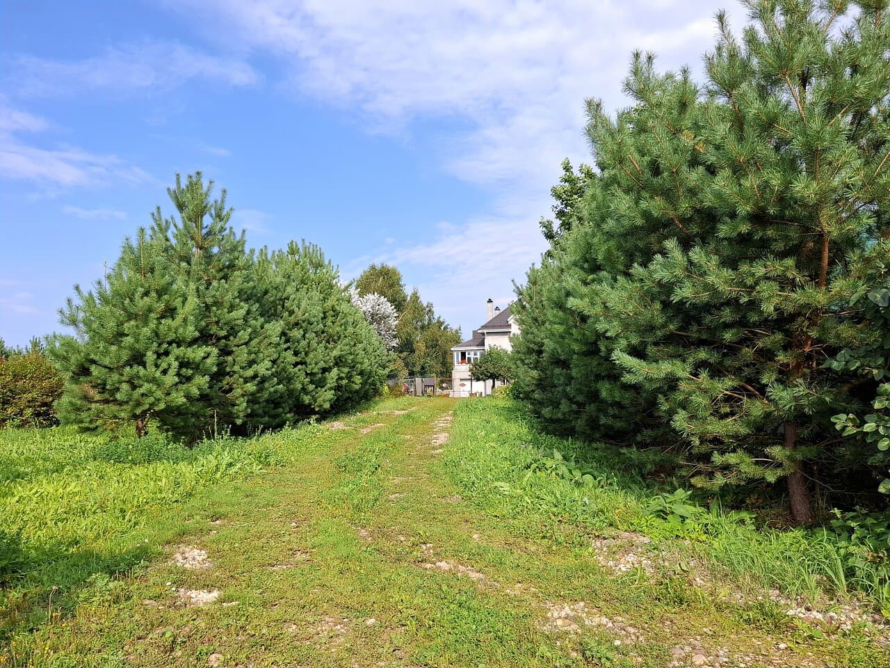 Travel to lipetskaya oblast’, Russia