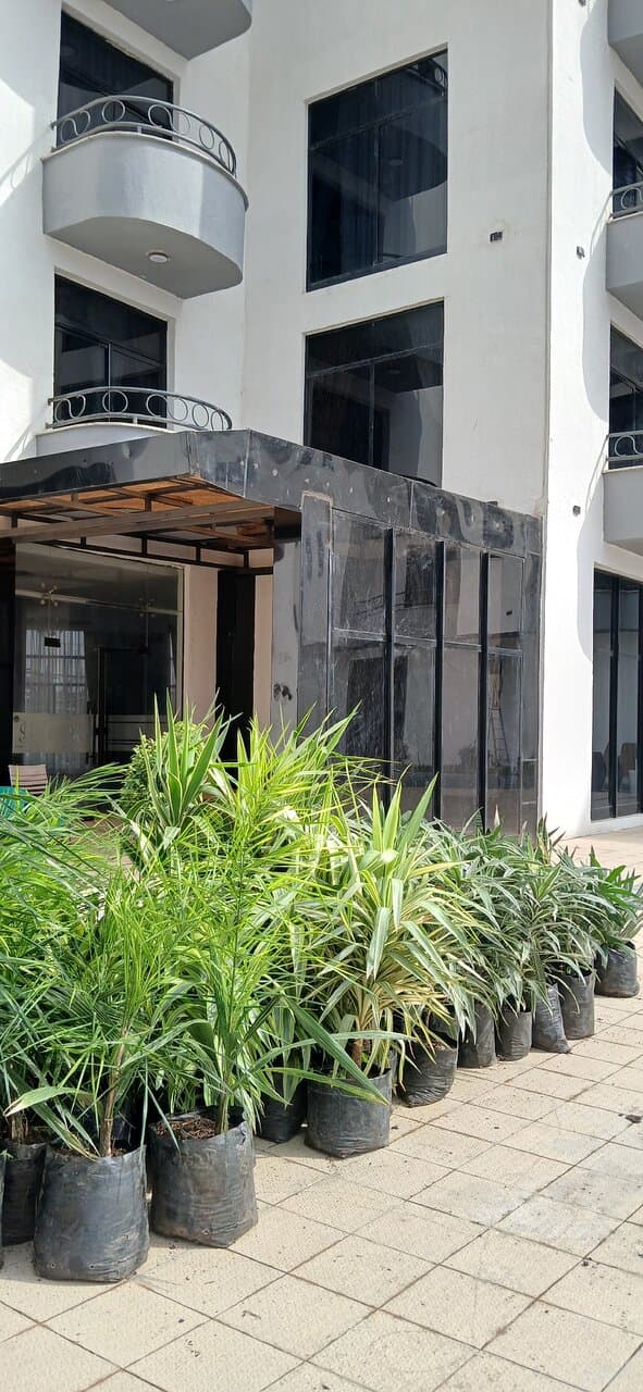 Travel to k’ebrī beyah, Ethiopia