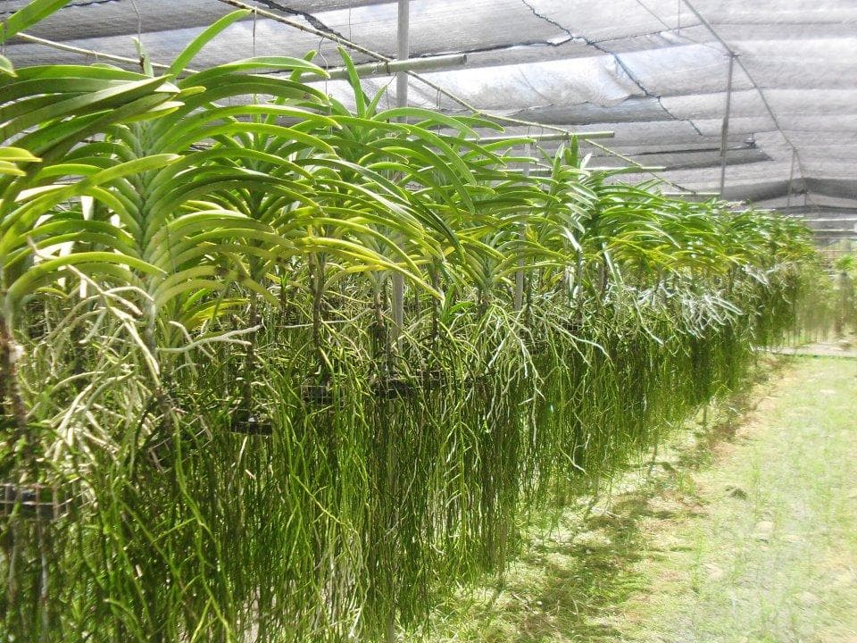 Travel to davao del norte, Philippines