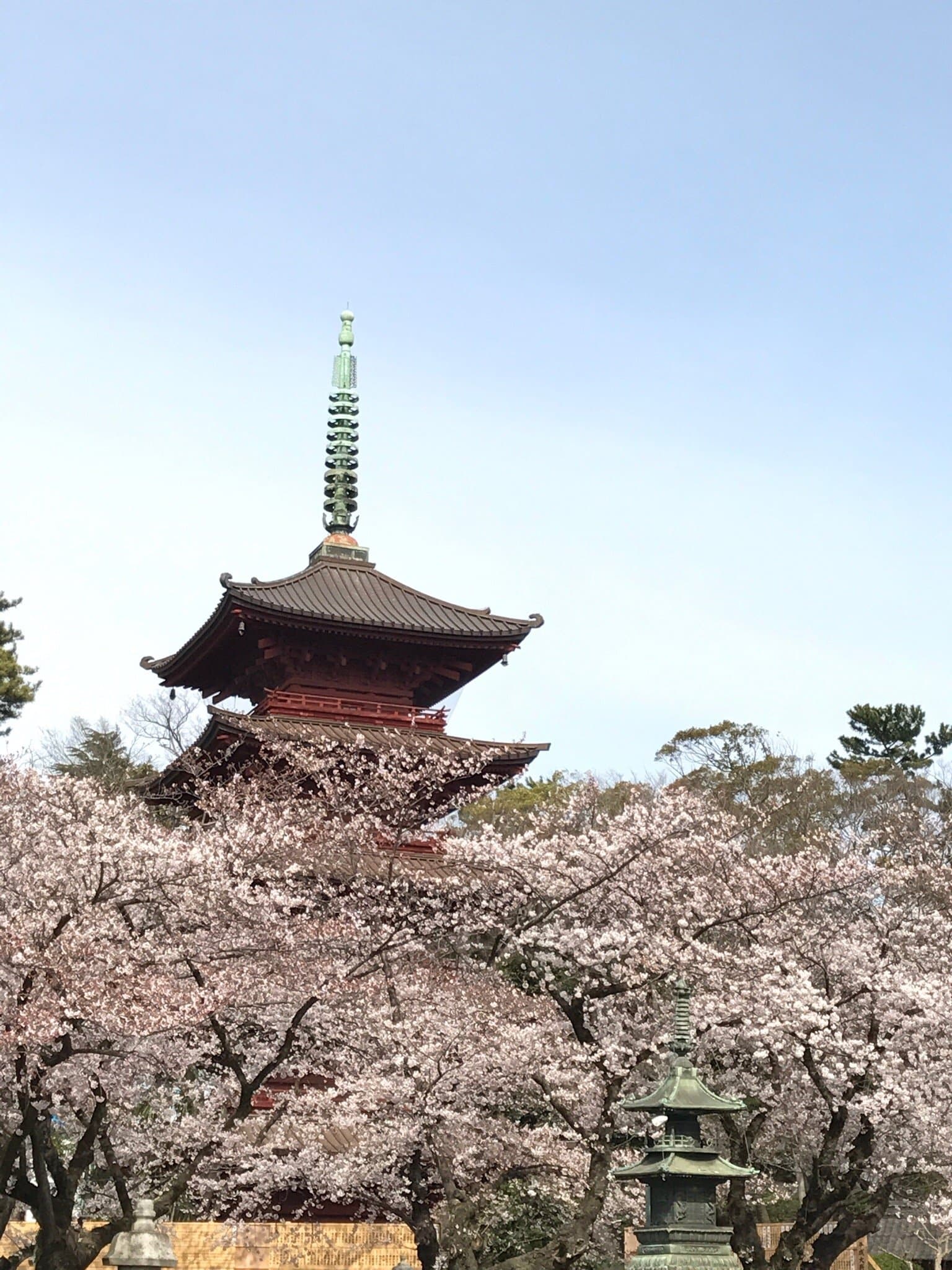 Travel to ichikawa, Japan