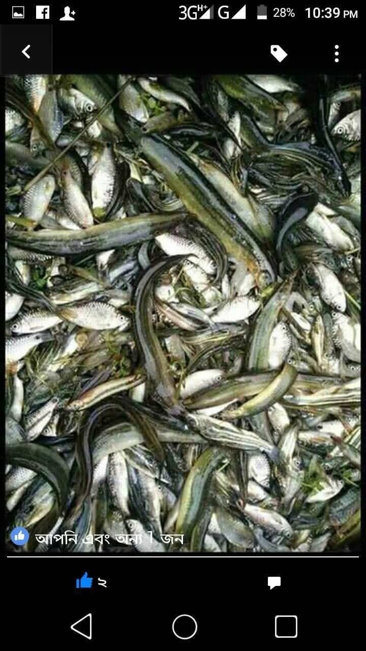 Travel to mymensingh, Bangladesh