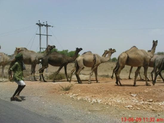 Travel to bhīlwāra, India