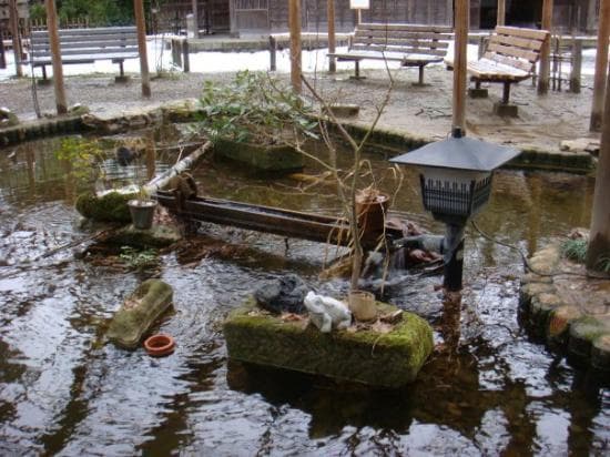 Travel to niigata, Japan