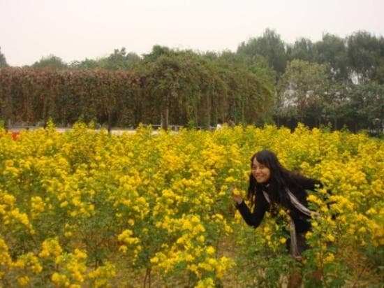 Travel to puyang chengguanzhen, China