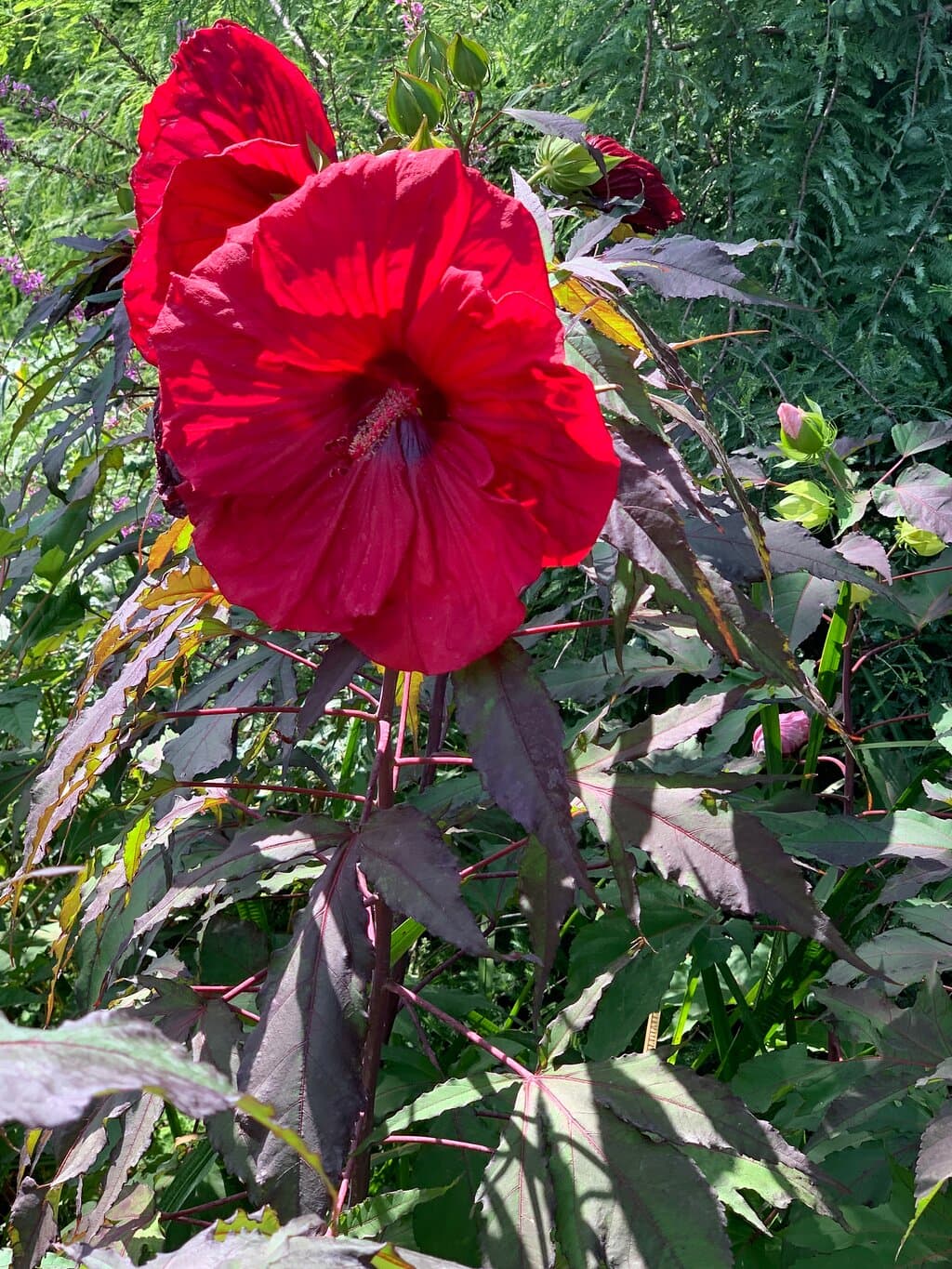 Travel to zagreb, grad, Croatia